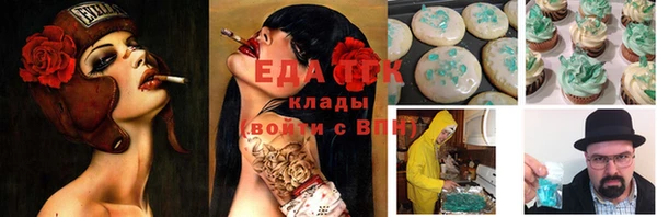 ПСИЛОЦИБИНОВЫЕ ГРИБЫ Каменка